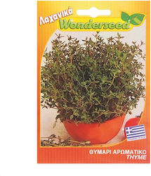 Wonderseed Seeds Thyme 300gr