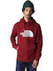 Drew Peak Sweatshirt with Hood Brown