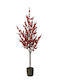 Weihnachtsbaum Berries 140cm im Topf Rot