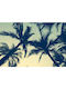 Palm Trees Poster - 45cm x 30cm - Semigloss 200g