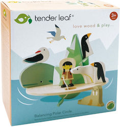 Tender Leaf Toys Polar Circle for 36++ Months