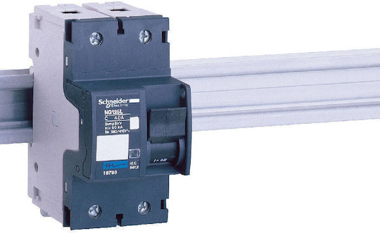 Schneider Electric Automatischer Schutzschalter 80A Zweipolig AC 18796