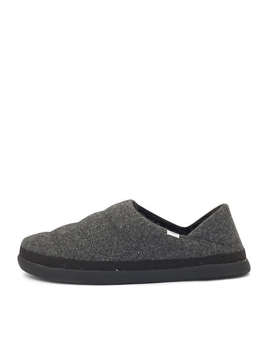 Toms