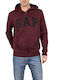 Ζακέτα με Κουκούλα Μπορντό