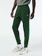 Lacoste Men's Sweatpants with Rubber Green