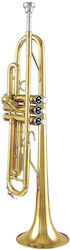 Belcanto BX 95