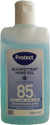 Protect Disinfectant Antiseptic Hand Gel 100ml