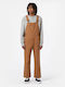 Dickies Men's Dungarees Brown in Regular Fit