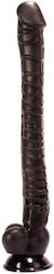 X-Men Jacob's Cock Dildo realist cu Testicule și Ventuză Negru 38cm X-Men Jacob's Cock Dildo realist cu Testicule și Ventuză Negru 38cm