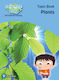 Plants, Science Bug