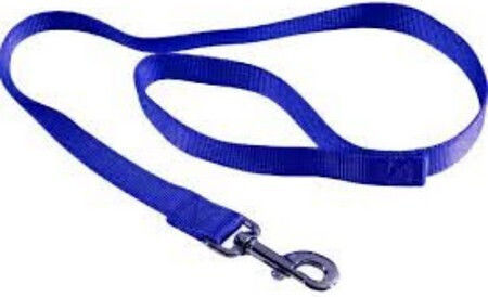Croci Dog Leash/Lead Strap Nylon Leash in Blue color 1.2m x 19cm