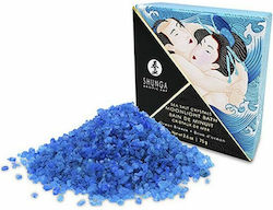Shunga Sea Salt Crystals Moonlight Bath Badesal...