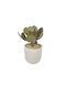 Artificial Plant in Small Pot Beige 20cm