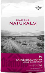 Diamond Naturals Large Puppy 15kg Dry Food for Large Breed Puppies with Lamb and Rice Diamond Naturals Large Puppy 15kg Dry Food for Large Breed Puppies with Lamb and Rice