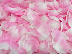 Rose petals Pink - White fabric 100 pcs.