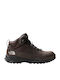 The North Face Storm Strike III Men's Hiking Boots Brown