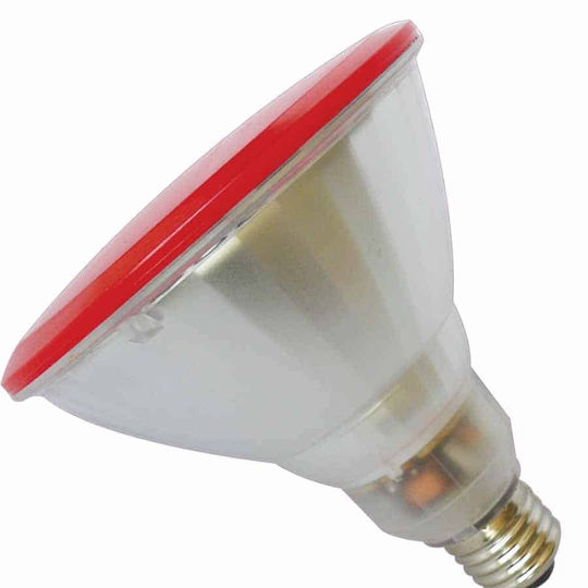 Dais Dolce Sicilia Energy Saving Lamp E27 20W
