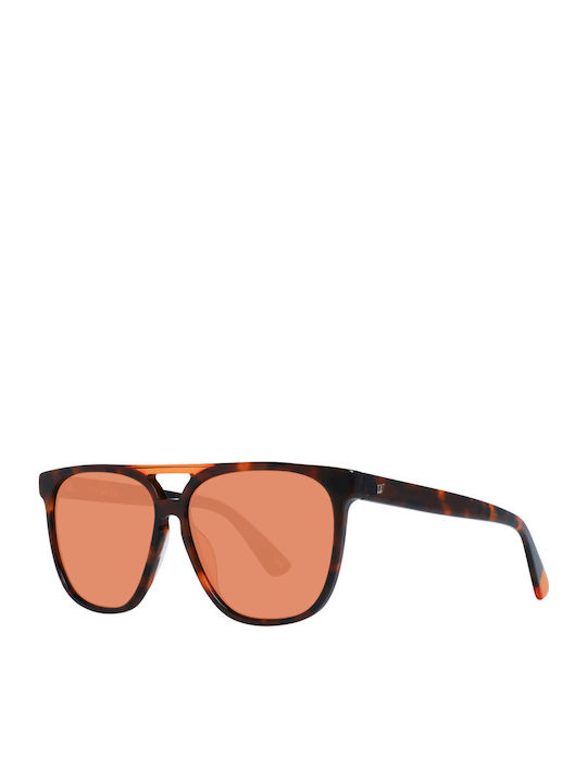 Web Men's Sunglasses with Brown Tartaruga Plast...