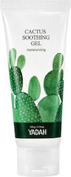 Yadah Cactus Gel Σώματος 105gr