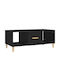 Rectangular Wooden Coffee Table Black L102xW50xH40cm