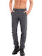 Hose Gray