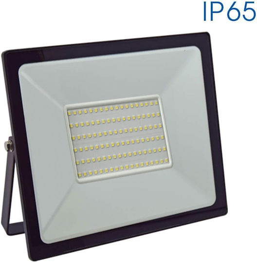 Vivalux Στεγανός Προβολέας LED 100W Ψυχρό Λευκό 6400K IP65