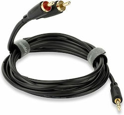 QED 3.5mm Male To RCA Male Audio Cable Black 0.75m With Gold Plated Terminals QE8111