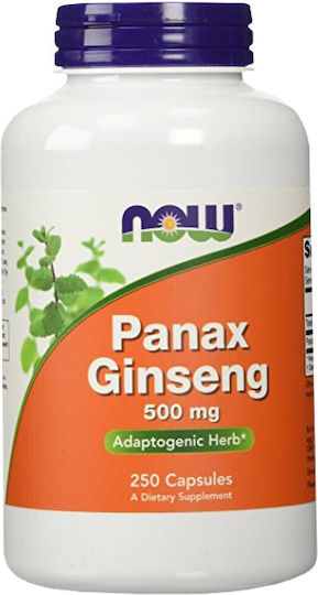 Now Foods Panax Ginseng 500mg 250 caps
