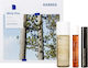 Korres White Pine Hautpflegeset für Anti-Aging & Festigung mit Wimperntusche & Serum 44ml