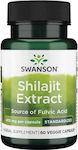 Swanson Shilajit Extract 400mg 60 veg. caps