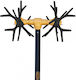 Minos Nik Y 4x4 Olivenernter Typ Seeigel mit fester Stange 2m und Gewicht 2.9kg