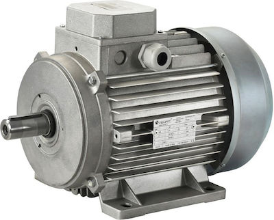 Nova Three-Phase Electric motor 0.33hp Maximum Revolutions 1400rpm with Keyway 380V