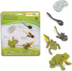 Safari Ltd Κύκλος Ζωής ενός Βατράχου για 4+ Ετών Safari Ltd Κύκλος Ζωής ενός Βατράχου για 4+ Ετών