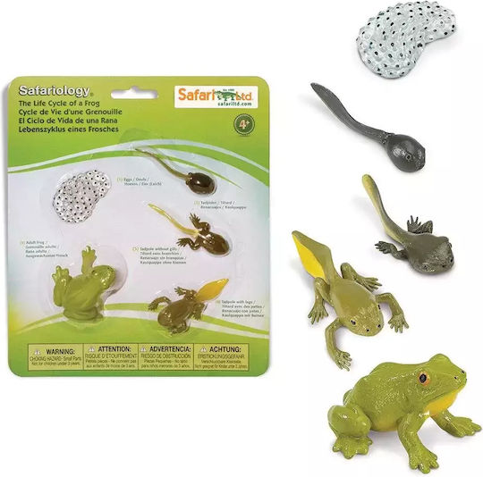 Safari Ltd Κύκλος Ζωής ενός Βατράχου STEM Educational Game Knowledge for 4+ Years Old