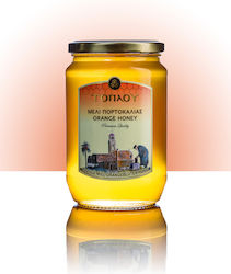 Savidakis Family Honey Orange 950gr