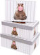 Paper Box for Gift White 3pcs