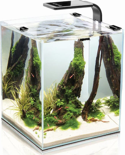 Aquael Shrimpset Day Night 10 Fish Aquarium Capacity 10lt with Lighting, Heater, Filter and 20x20x25cm Black