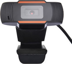 Setty (GSM108791)