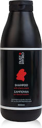 Dust+Cream Cherry Scent Shampoos Reconstruction/Nourishment & Hydration for Coloured Hair 600ml Dust+Cream Cherry Scent Shampoos Reconstruction/Nourishment & Hydration for Coloured Hair 600ml