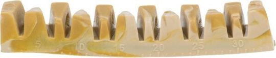 Trixie Denta Fun Veggie Bone for Dogs with Flavor Vegetables 12cm 35gr
