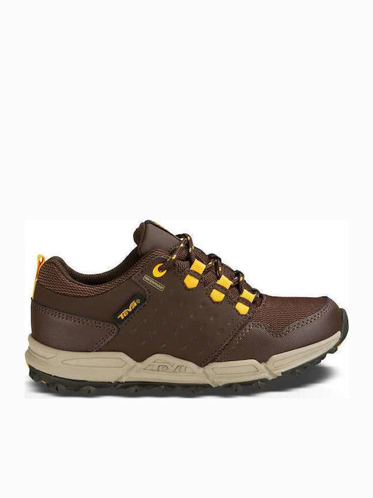 Teva