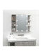 vidaXL Rectangular Bathroom Mirror Led with Shelf & Cabinet 70x60cm Gray