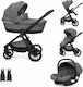 Beboulino Tortoni Verstellbar 3 in 1 Baby Kinde...