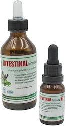 Evia Parrots Intestinal Formula 1 15ml