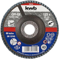 KWB Δίσκος Λείανσης Μετάλλου 125mm
