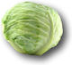 Hazera Seeds Cabbage Landini Green 2500pcs