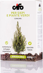 Λίπασμα υδατοδιαλυτό CIFO PER SIERI E PIANTE VERDI για κωνοφόρα και πράσινα φυτά 600gr