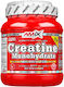 Amix Creatine Monohydrate 500gr