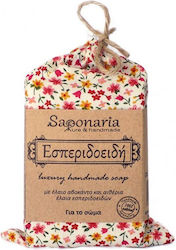 Saponaria Εσπεριδοειδή 105gr Saponaria Εσπεριδοειδή 105gr