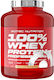 Scitec Nutrition 100% Whey Protein Professional Molkenprotein Glutenfrei mit Geschmack Erdnussbutter 2.35kg